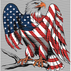 USA-MG 3591